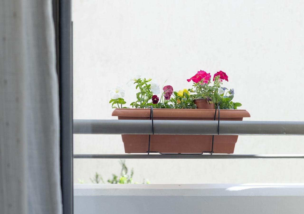 Elegant Apt 50Meters Close Acropolis アテネ エクステリア 写真