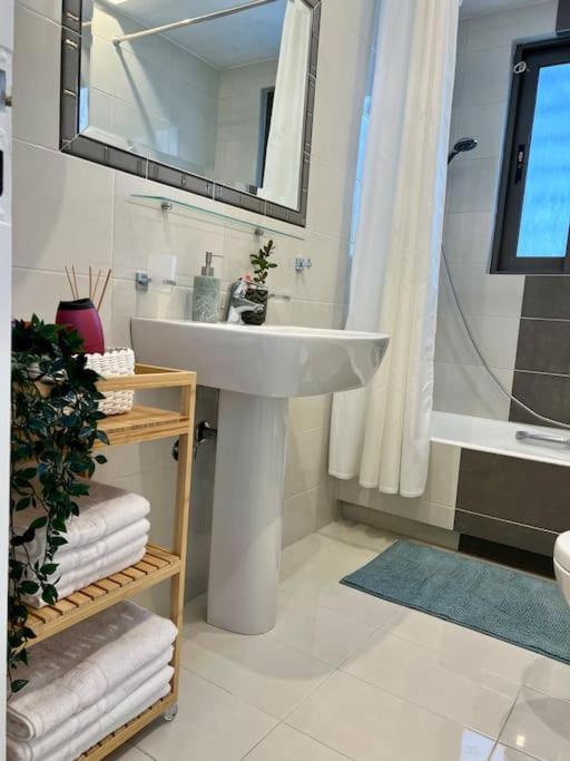 Elegant Apt 50Meters Close Acropolis アテネ エクステリア 写真