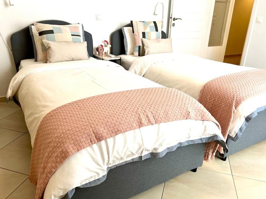 Elegant Apt 50Meters Close Acropolis アテネ エクステリア 写真